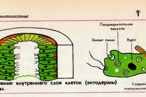 Как найти кракен шоп