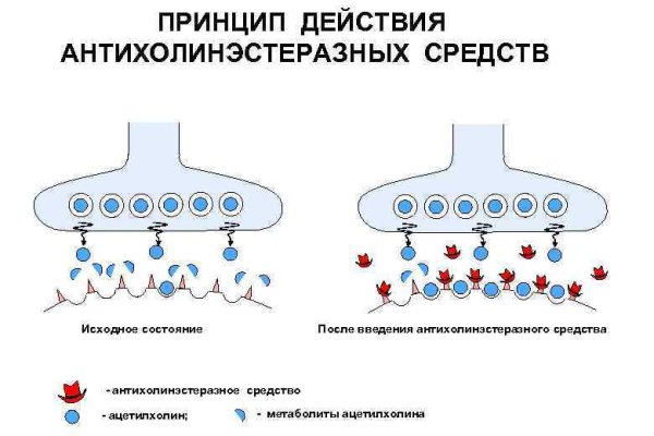 Через какой браузер зайти на кракен